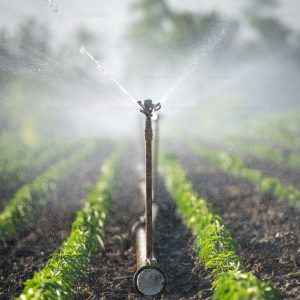 Irrigation Materials