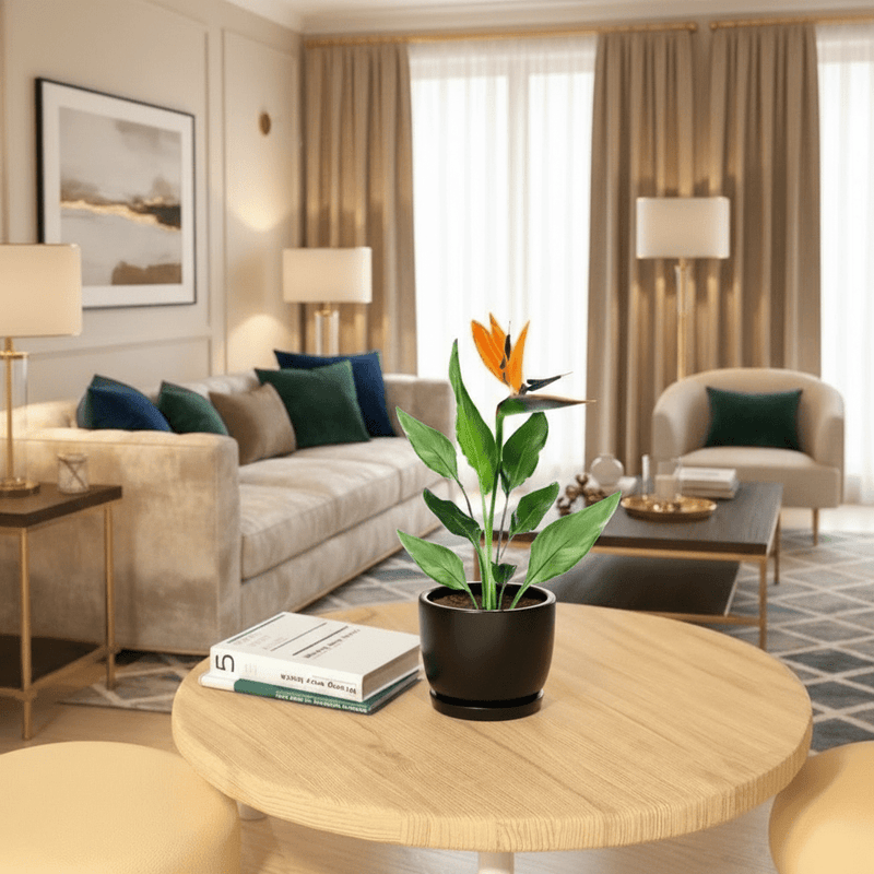 Strelitzia Reginae or Bird of Paradise طائر الجنة (Indoor No Flowers) 30 - 40cm - Image 7