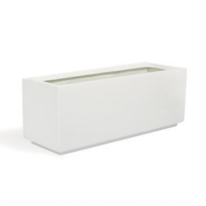 Ficus Banjamina Trio in Rectangular Fiber Glass Planter (GRP) (70x30x30cm) - Image 3