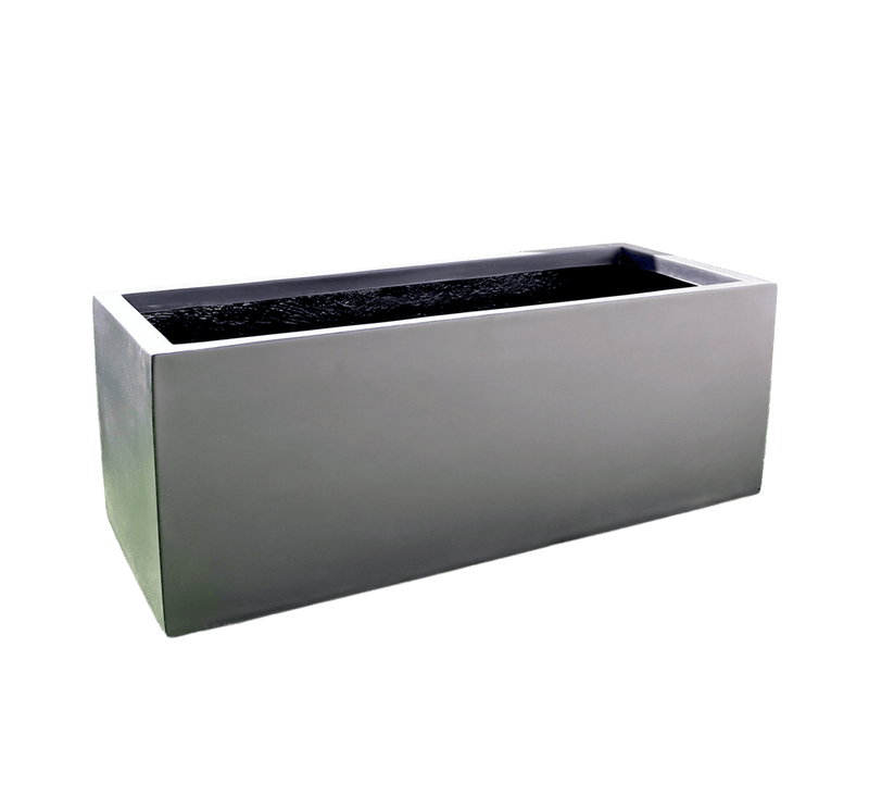 Ficus Banjamina Trio in Rectangular Fiber Glass Planter (GRP) (70x30x30cm) - Image 4