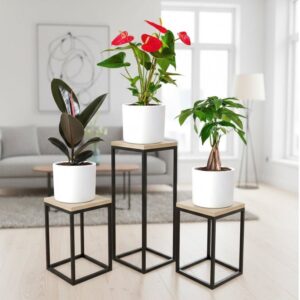 Happy Diwali Plant Bundle (1xRubber Plant 20-30cm ,1x Flamingo flower 30-40cm, 1x Patchira twisted 20-30cm) All in White Ceramics Pot