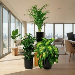 Home Decorator Plant Bundle in Ceramic Pot Medium