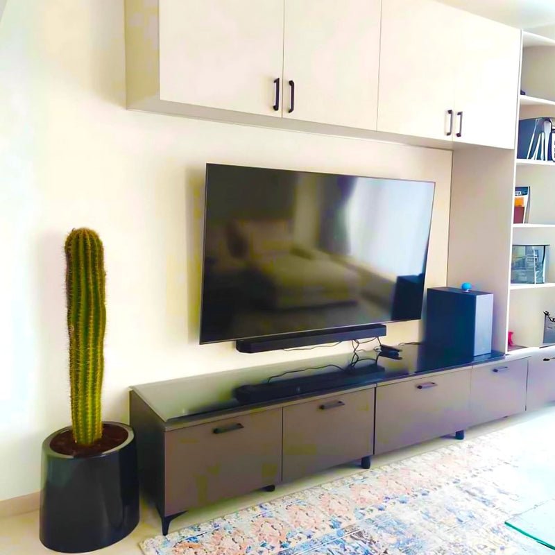 Saguaro cactus - Image 2