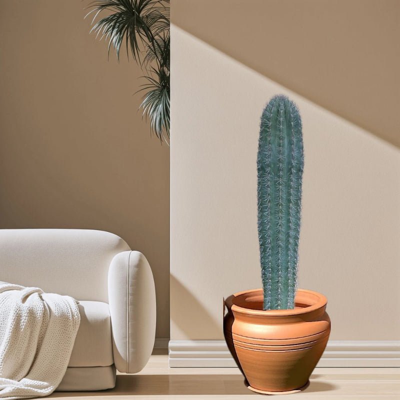 Saguaro cactus - Image 4