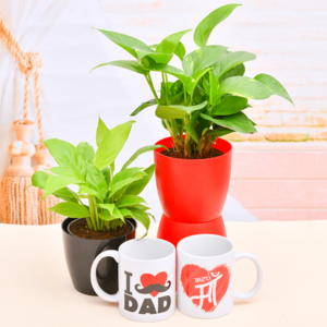 Parents Gift Plant Set: Peace Lily & Money Plant for Mom & Dad